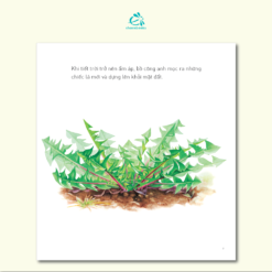 Ehon Nhat Ban bo cong anh 1