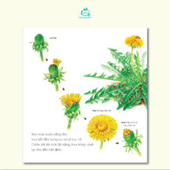 Ehon Nhat Ban bo cong anh 2